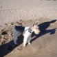 lucas en valencia ,en la playita